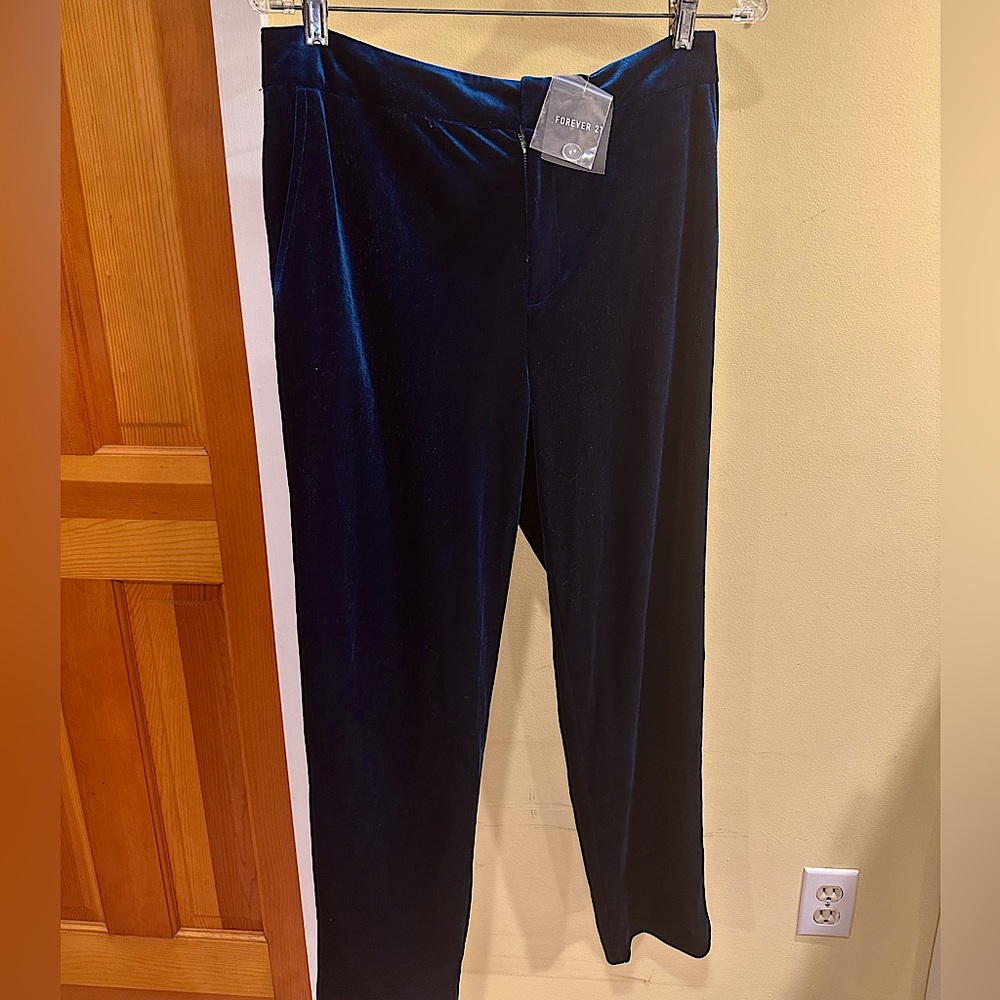 Forever 21 blue velvet pants.